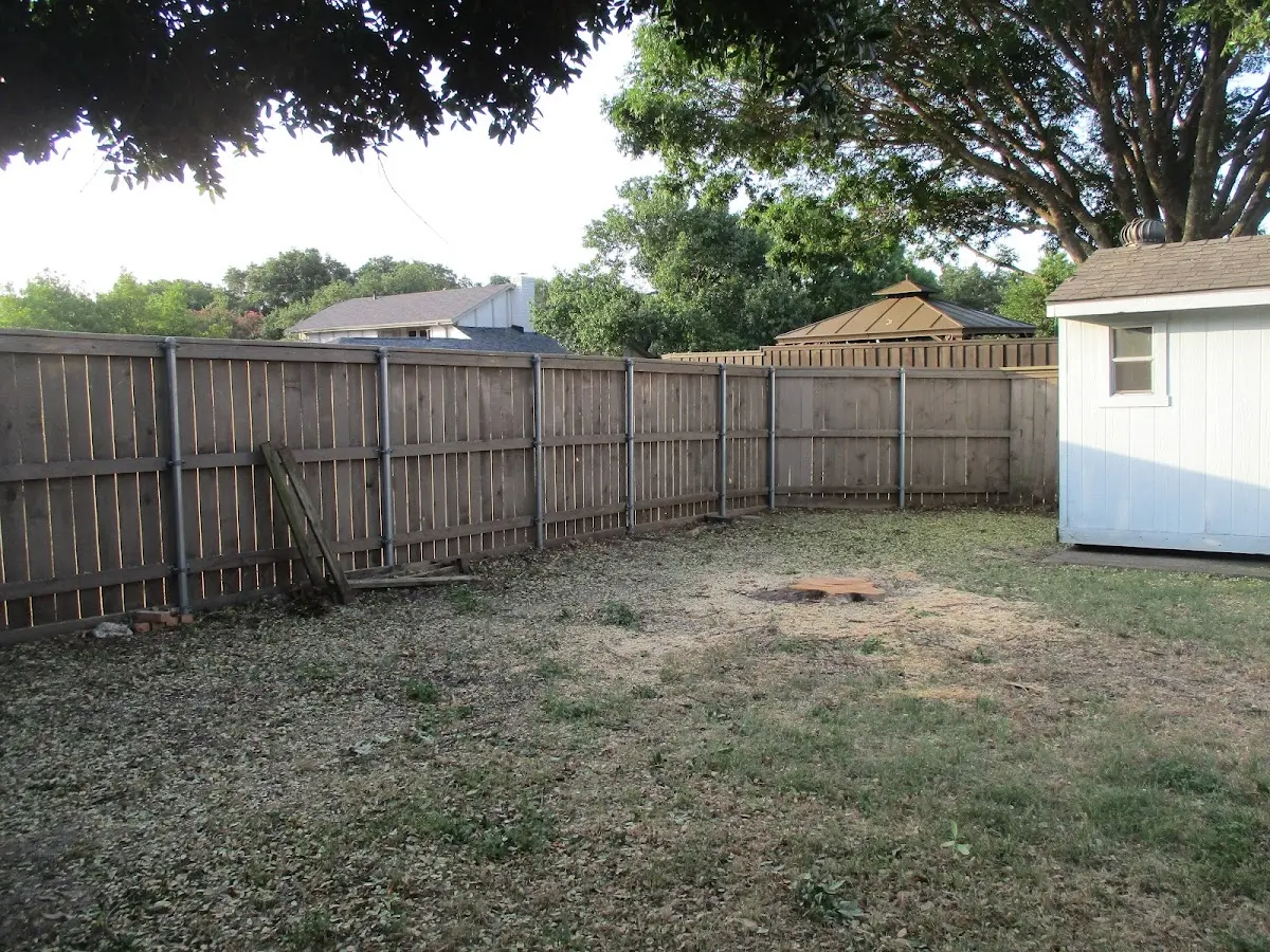 Cleared yard after professional tree removal in Thorofare